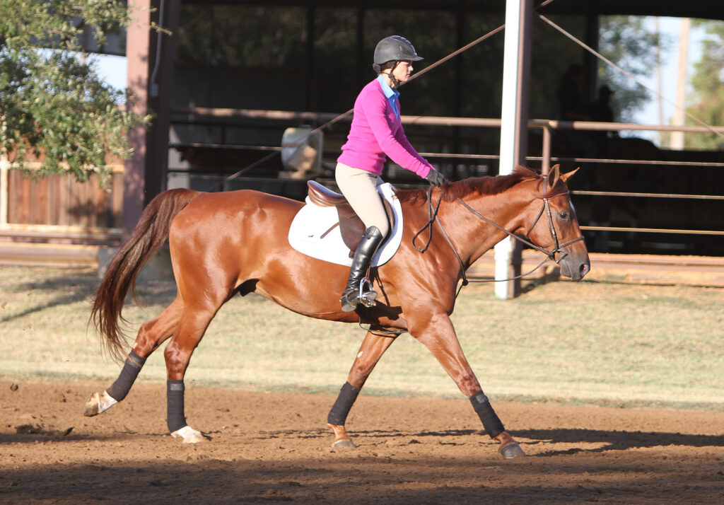 Flatwork for Flying Changes