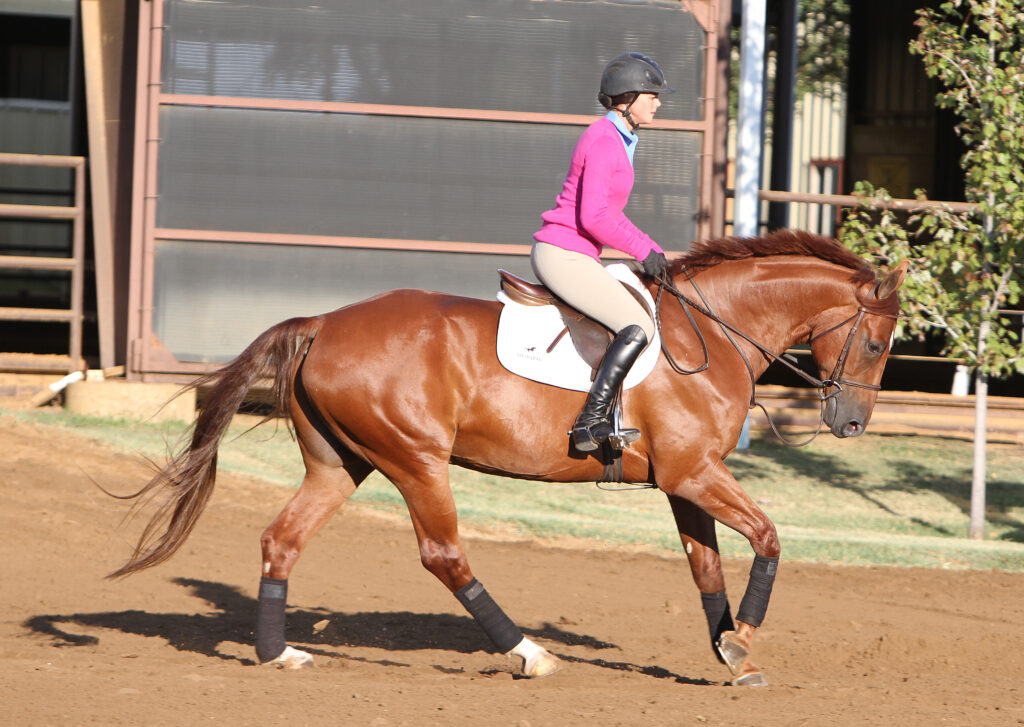 Flatwork for Flying Changes