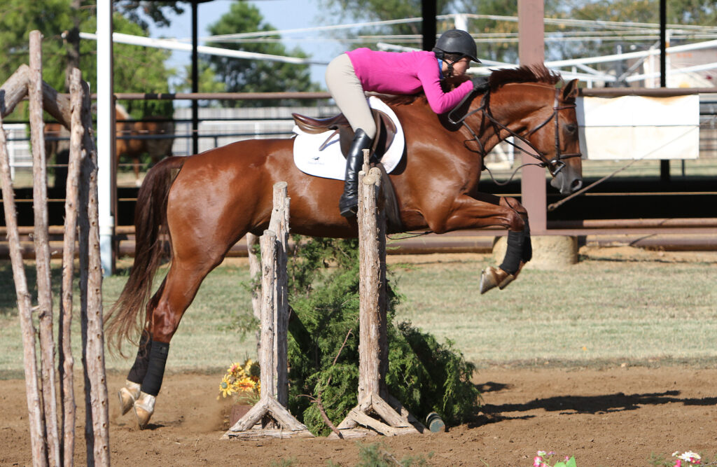 Flying Changes After Fences