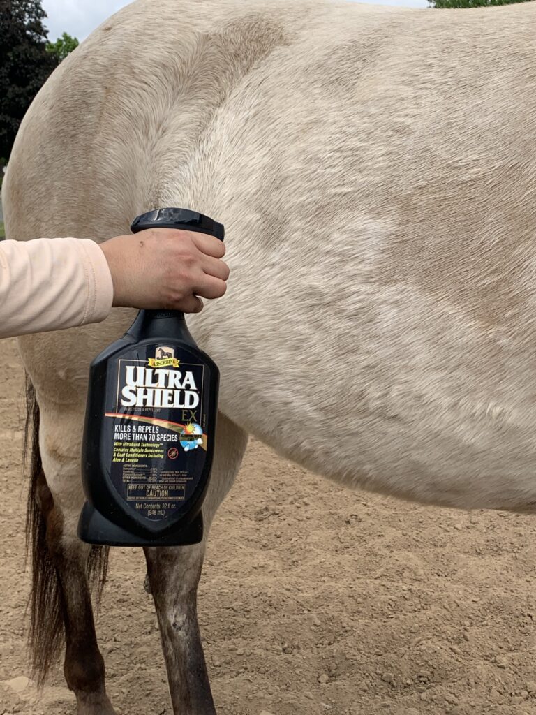 Spraying fly spray on a horse.