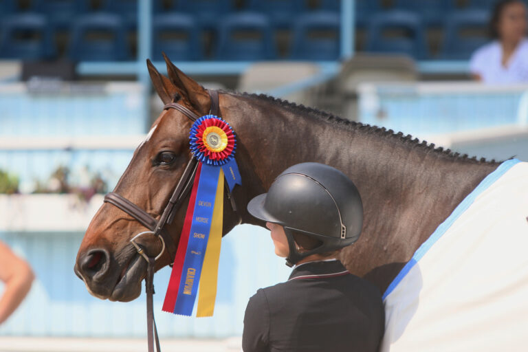 HorseShow