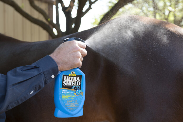 Spraying fly spray