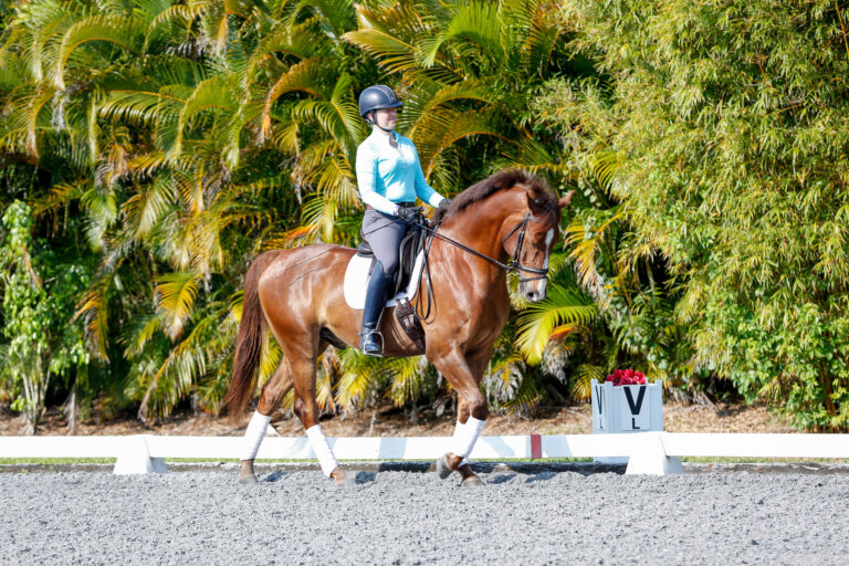 Lauren Sprieser Flying Changes