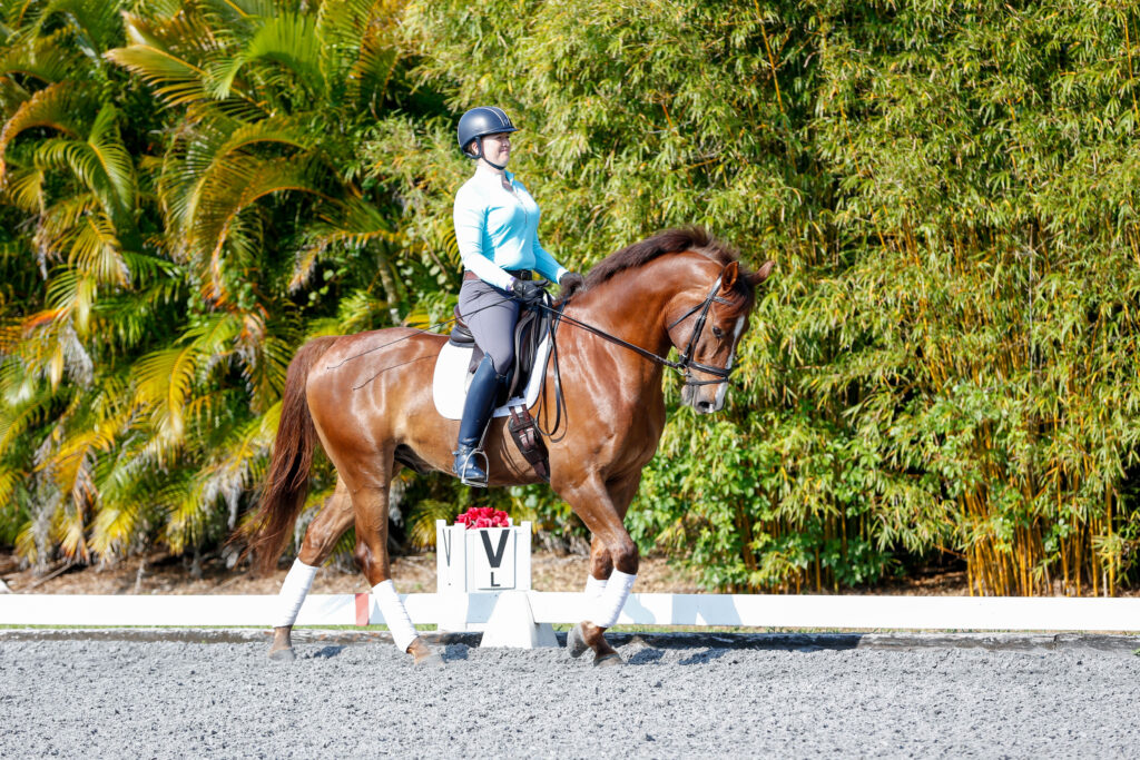 Lauren Sprieser Flying Changes