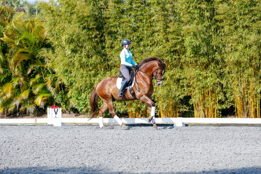 Dressage Flying Changes