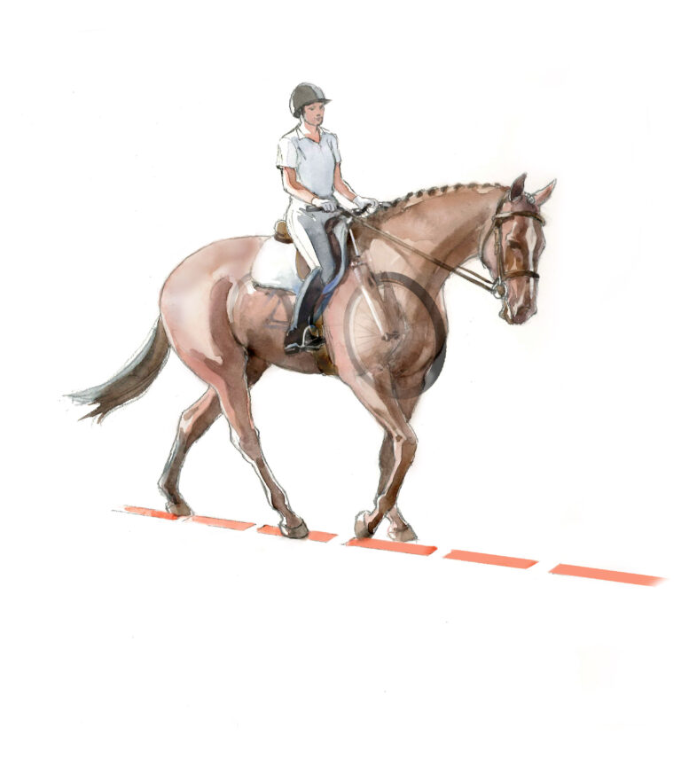 Prac Horse Bike Rider