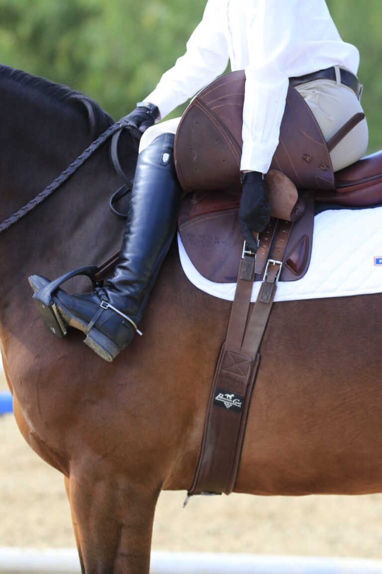 Tighten girth safe