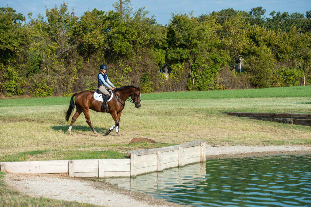 Introducing Horses to the Water Jump