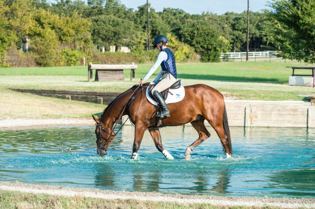 Introducing Horses to Cross-Country Water