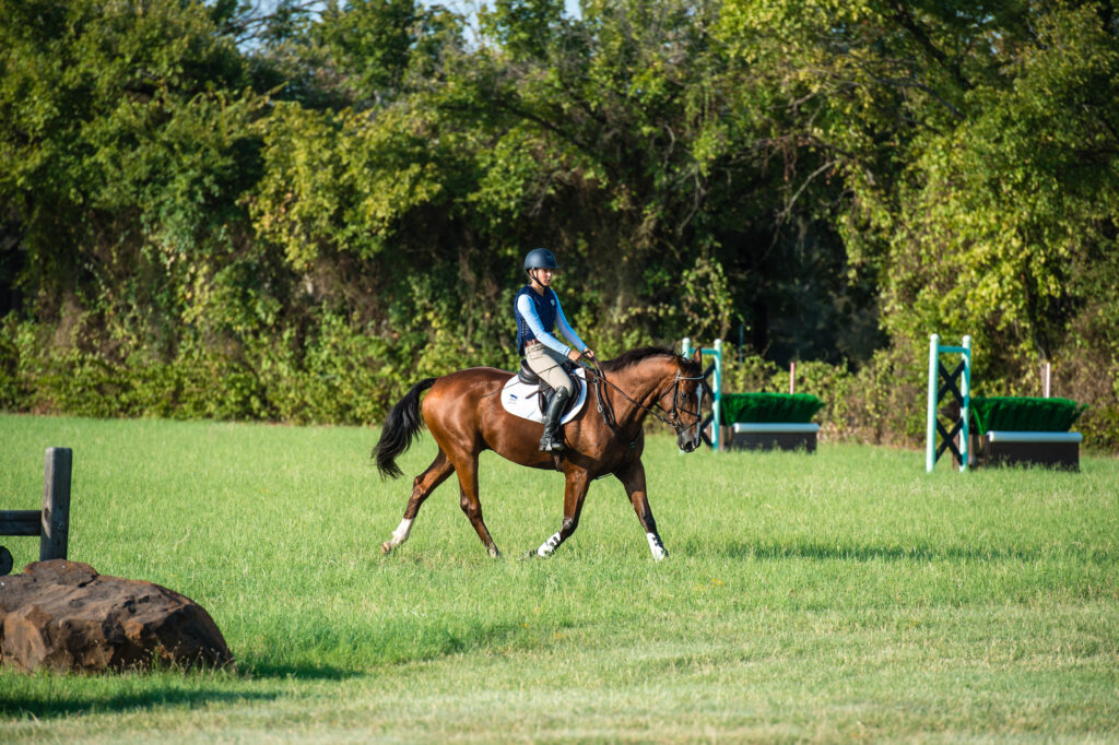 Trotting into Cross-Country Water