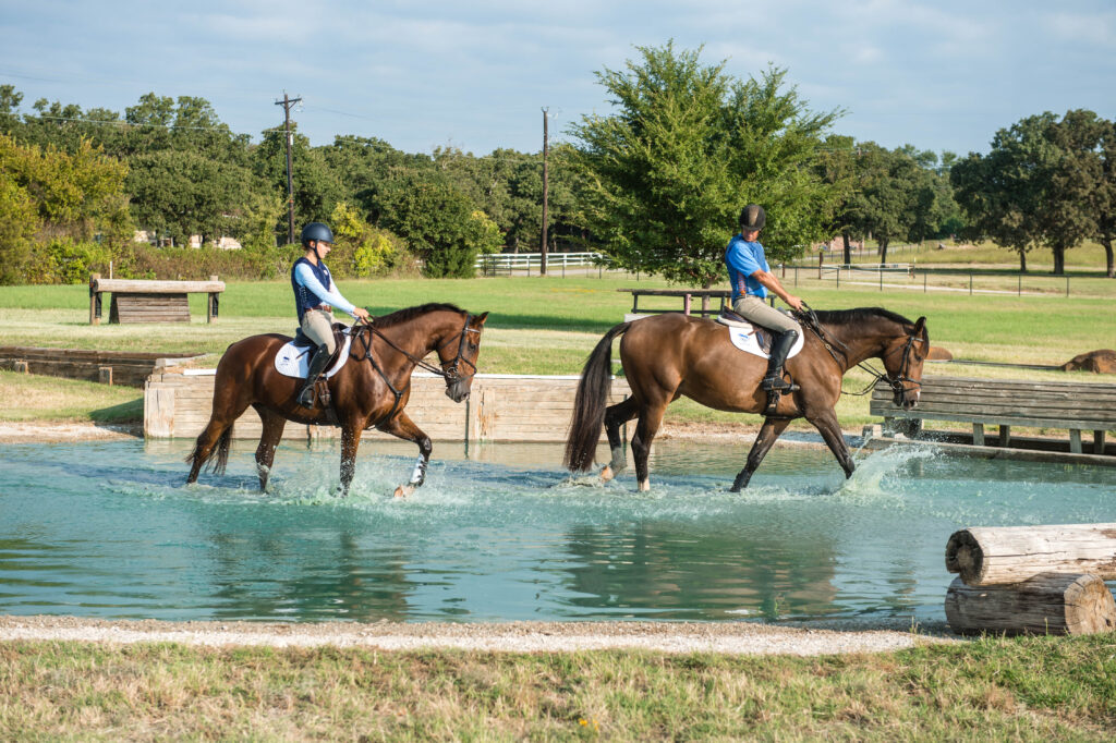 Introducing Horses to Cross-Country Water