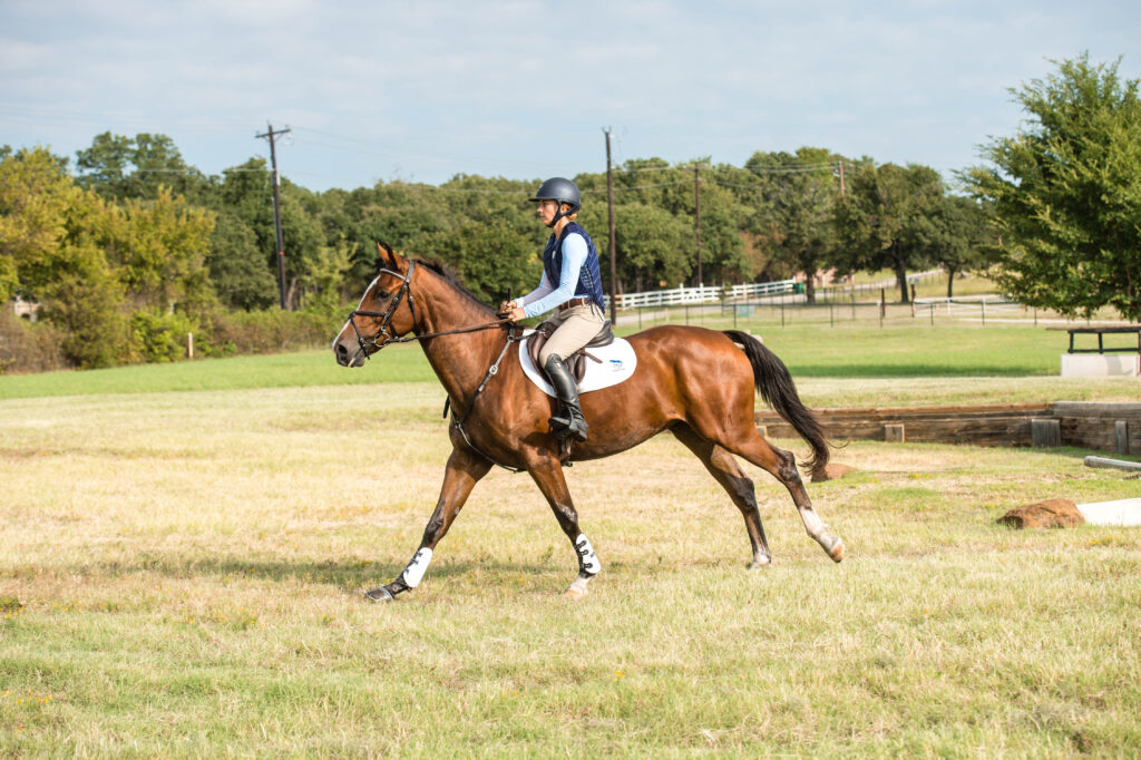 Introducing Jumps with Cross-Country Water