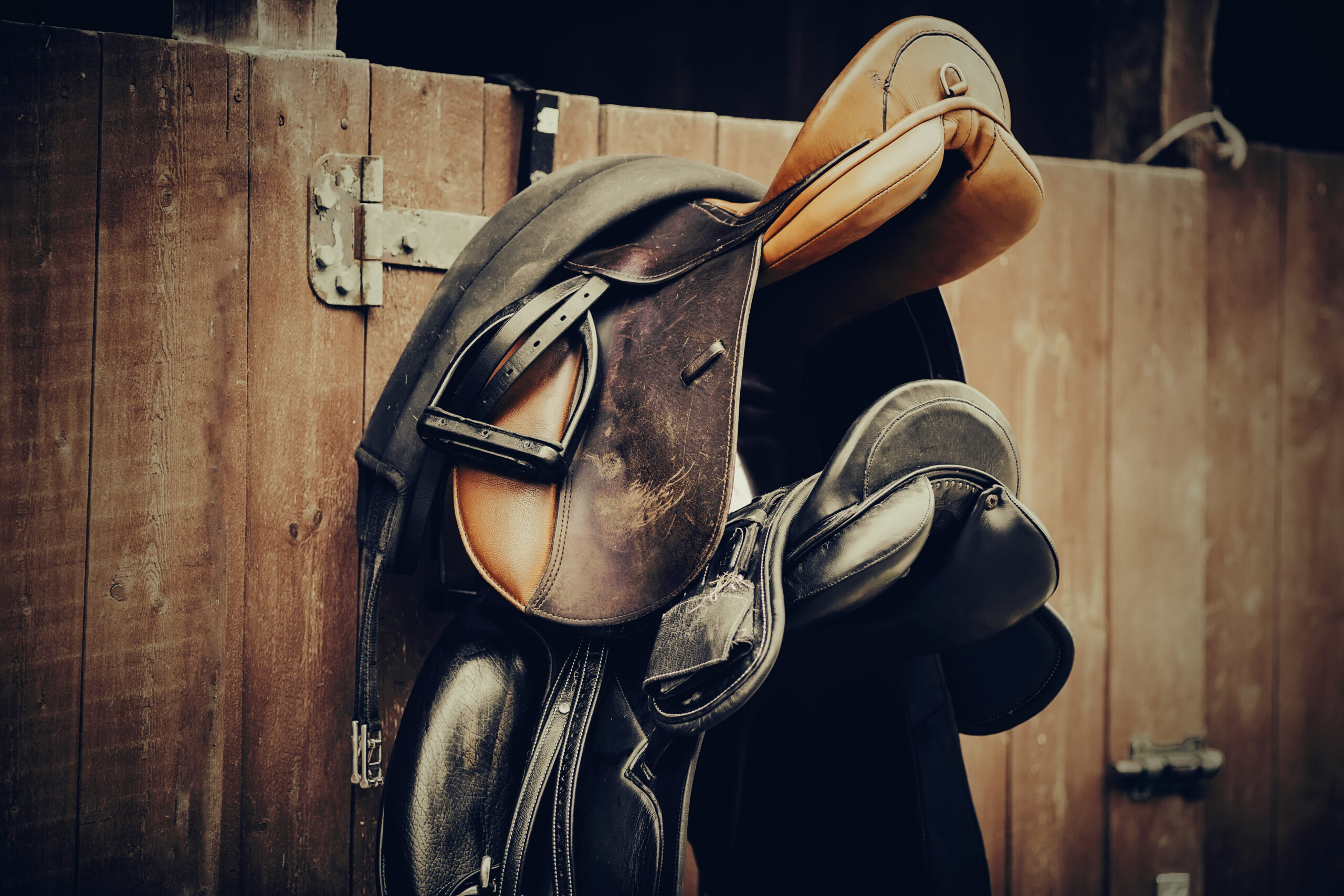 Brown and black saddles hang on the stall. Horse ammunition