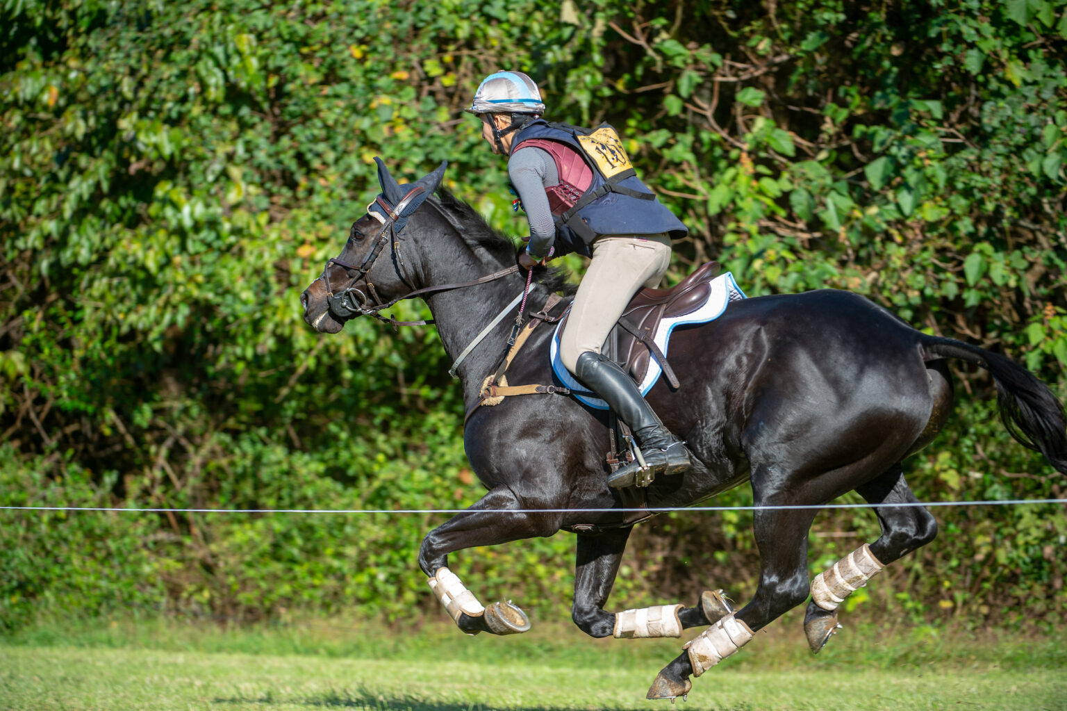 Gone Away! Techniques for Galloping Safely