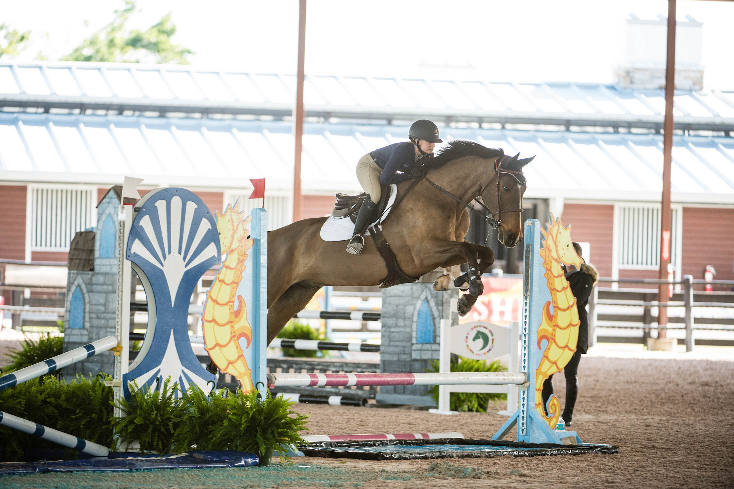 McLain Ward