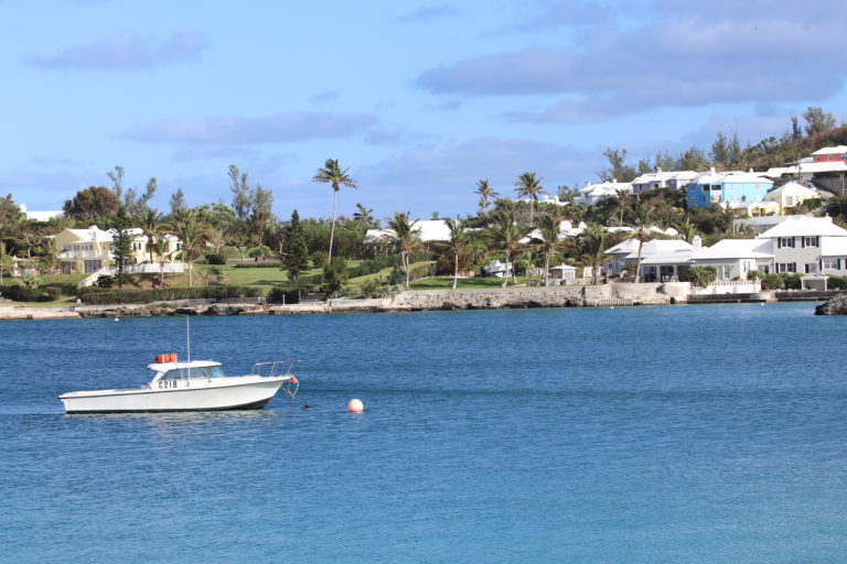2 dressage in Bermuda harrington sound