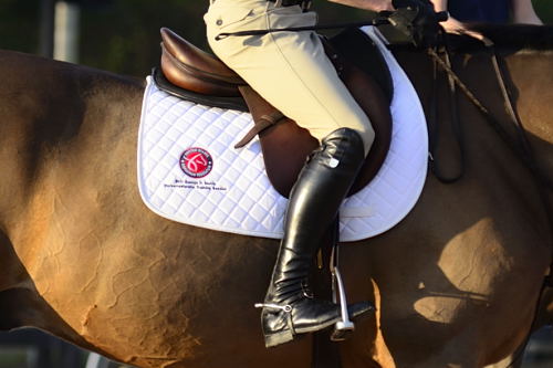 2013 George Morris Horsemastership Training Session Day 3: Gymnastics & Water promo image