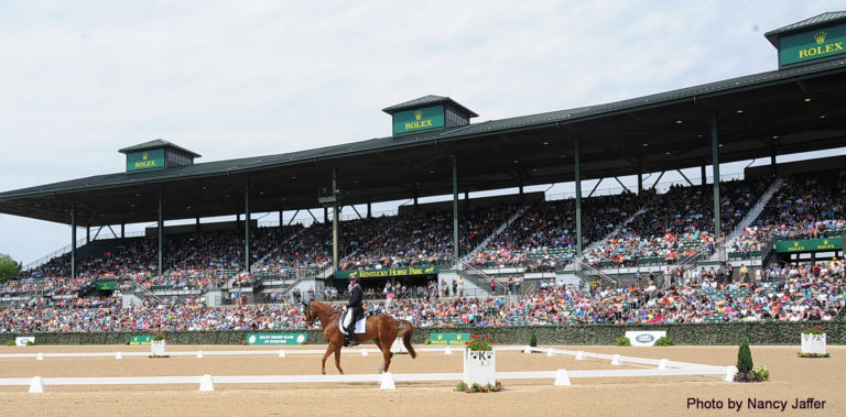 2017-rolex-dressage-view-of-stands