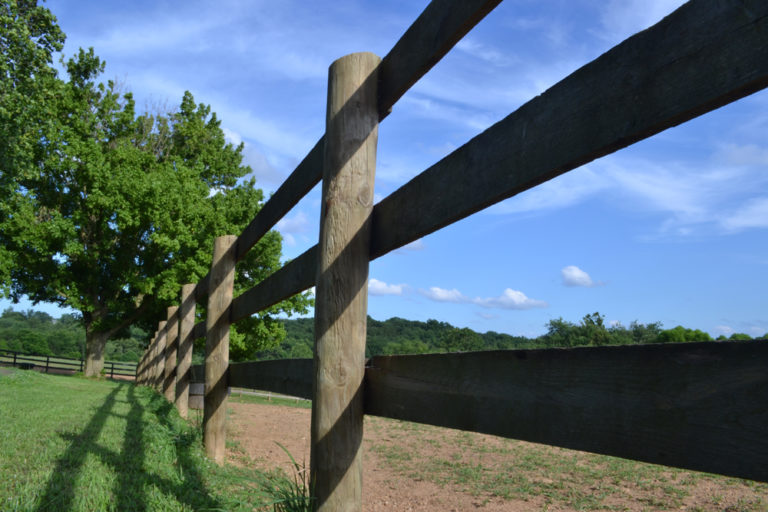 A Fresh Look at Horse Fencing promo image