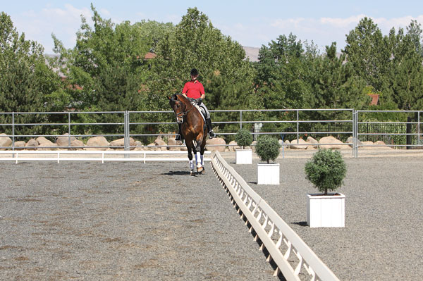 A Lateral Movement Workbook: Shoulder-In with Volker Brommann promo image