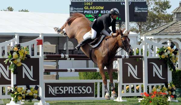 A New Career for Ex-Grand Prix Show Jumper Glasgow promo image