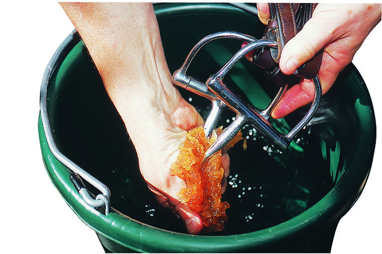 A Two-Step System for Everyday Tack Care promo image