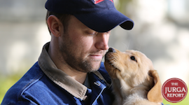 Actor Don Jeanes Helps the Budweiser Clydesdales Find a Lost Puppy and Third Hit Super Bowl Commercial promo image
