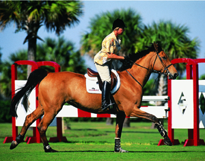Adjust Your Stride for More Consistent Courses promo image