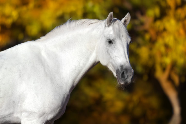 AdobeStock_127823127