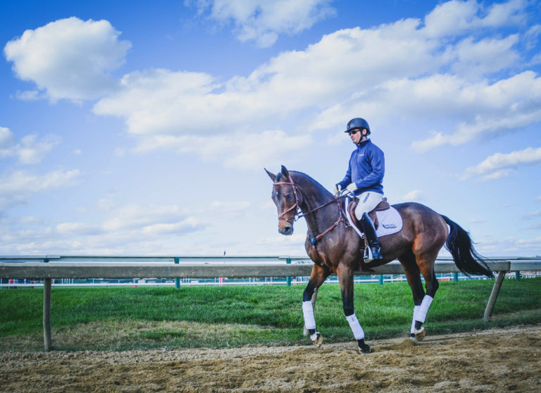 America's Most Wanted Thoroughbreds: OTTBs Excel in Second Careers promo image