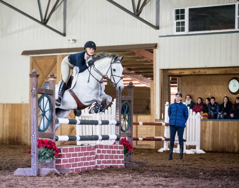 Anne Kursinski: Horses Are Reflections of Their Riders promo image