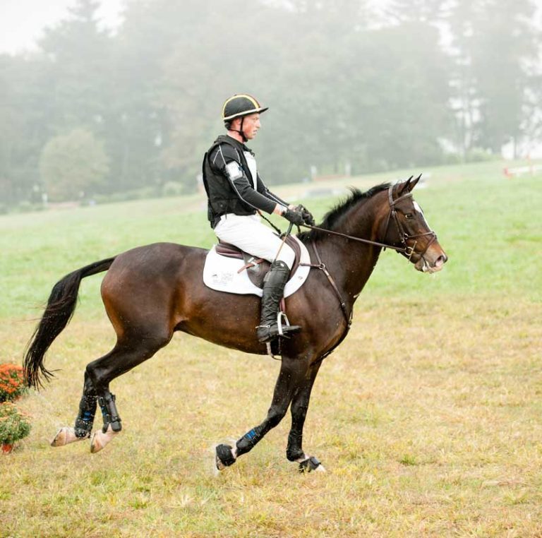 Are You With Me? Moving with Your Horse promo image