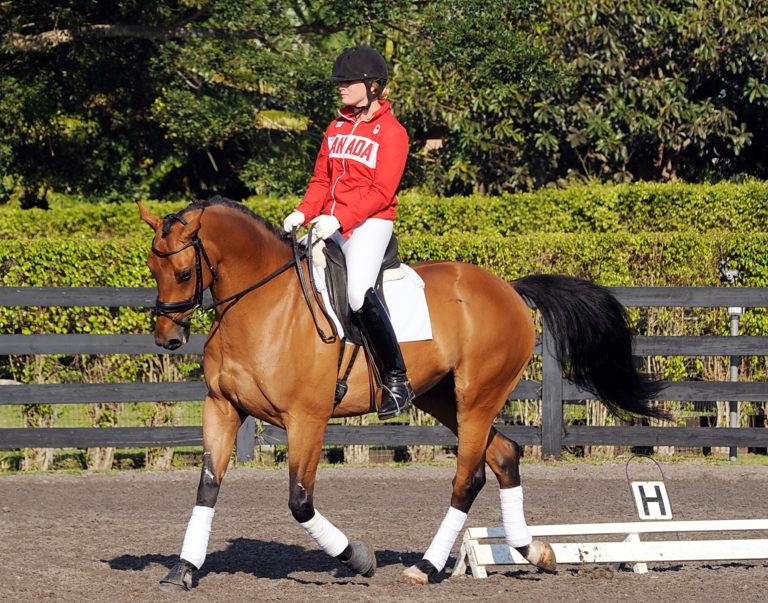 ashley holzer march 30 shoulder-in Lindsay Kellock no