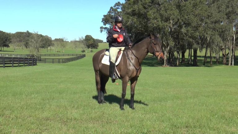 basic-training-by-david-oconnor-episode-fifteen-rider-responsibilities-promo-image