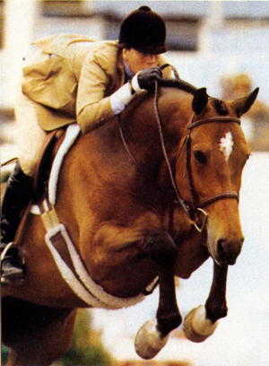 Becoming a Professional Horse Rider and Trainer promo image