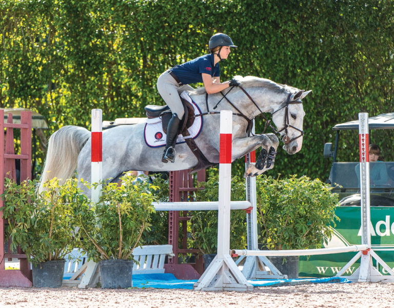 Beezie Madden: Gymnasticize Your Horse promo image