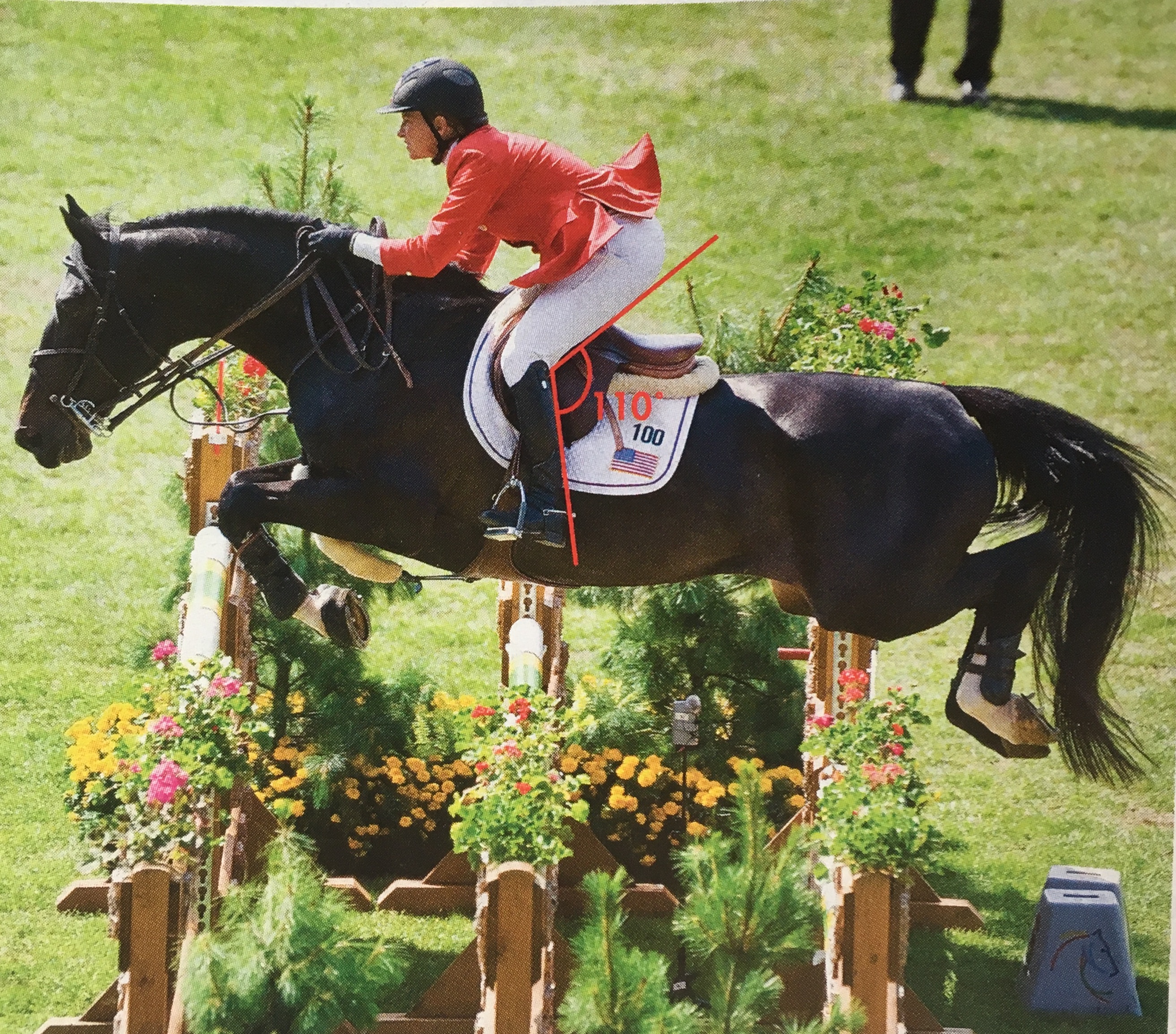 Beezie Madden Knee Angle