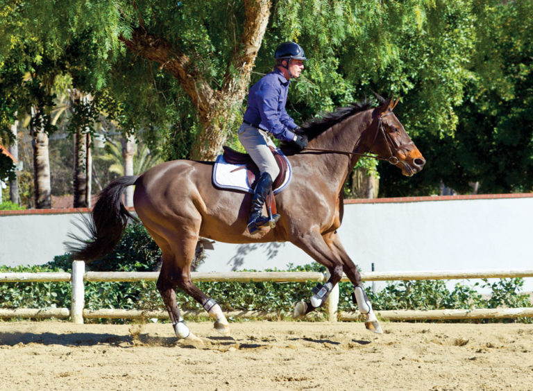 Bernie Traurig's Tips to Avoid Conflicting Aids While Riding promo image