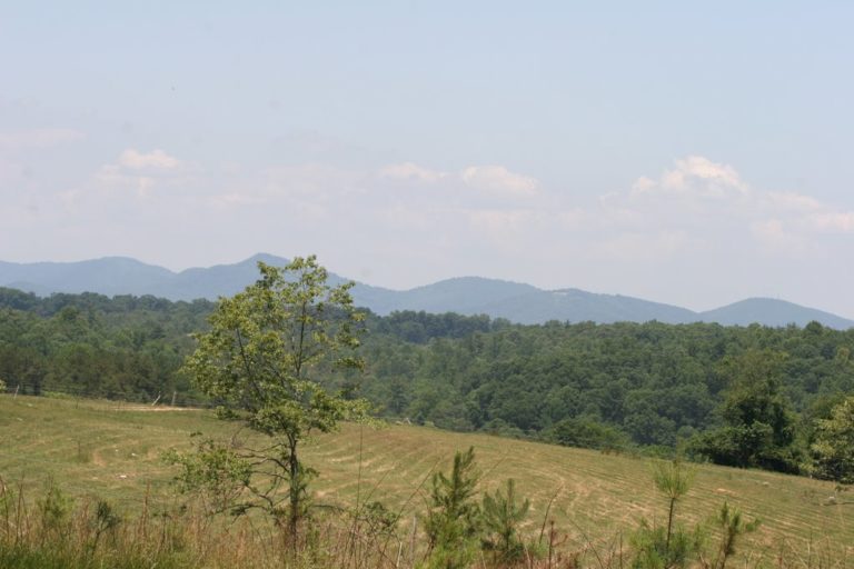Biltmore Estate, NC promo image