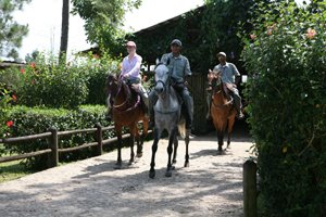 Blancaneaux Lodge, Belize promo image