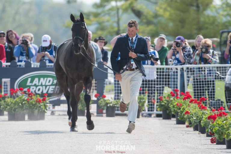 Boyd Martin Tsetserleg 2019 Jog