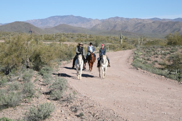 Bradshaw Mountains, AZ promo image