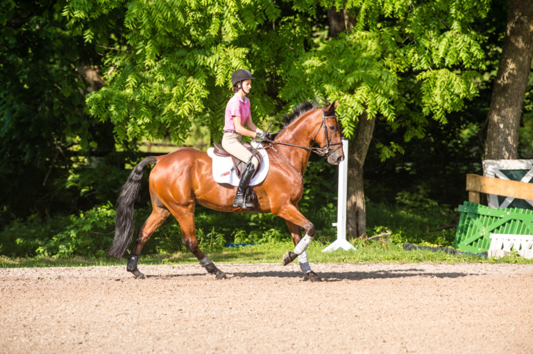 Brian-murphy-show-jumping-exercise1-step1