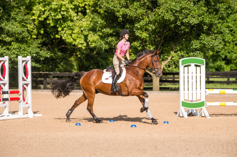 Brian-murphy-show-jumping-exercise1-step3