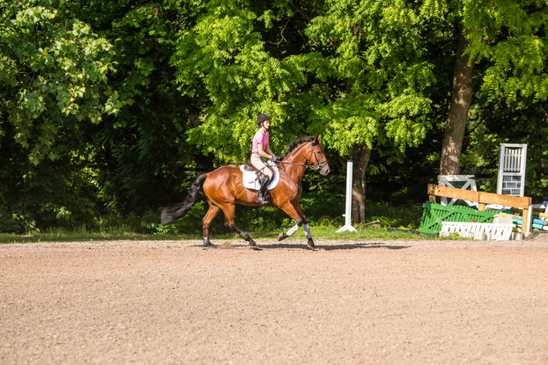 Brian-murphy-show-jumping-exercise1-step5