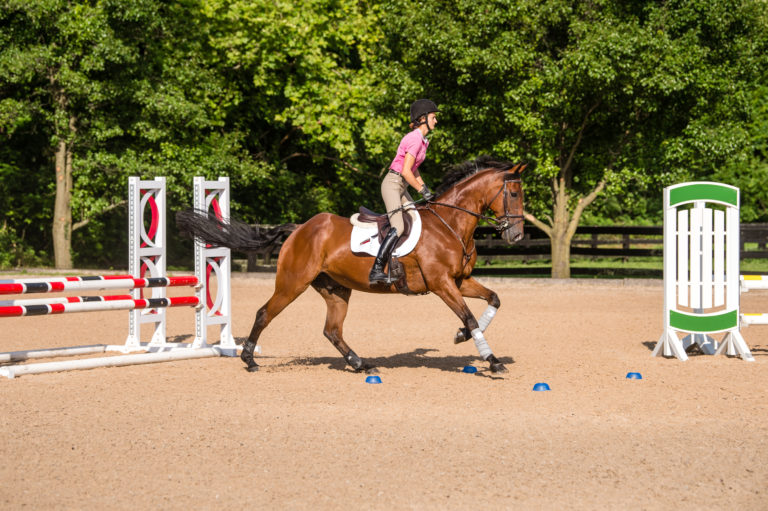 Brian-Murphy-show-jumping-exercise2-step2