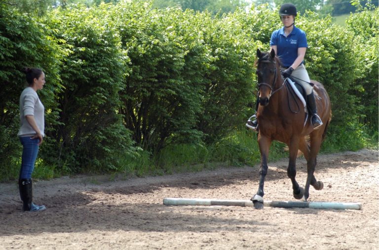 Brianne Goutal WIHS Clinic promo image