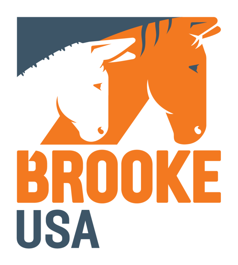 BrookeUSA_logo@3x-8