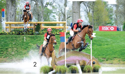 Buck Davidson and Ballynoe Castle RM