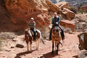 Capitol Reef National Park, UT promo image